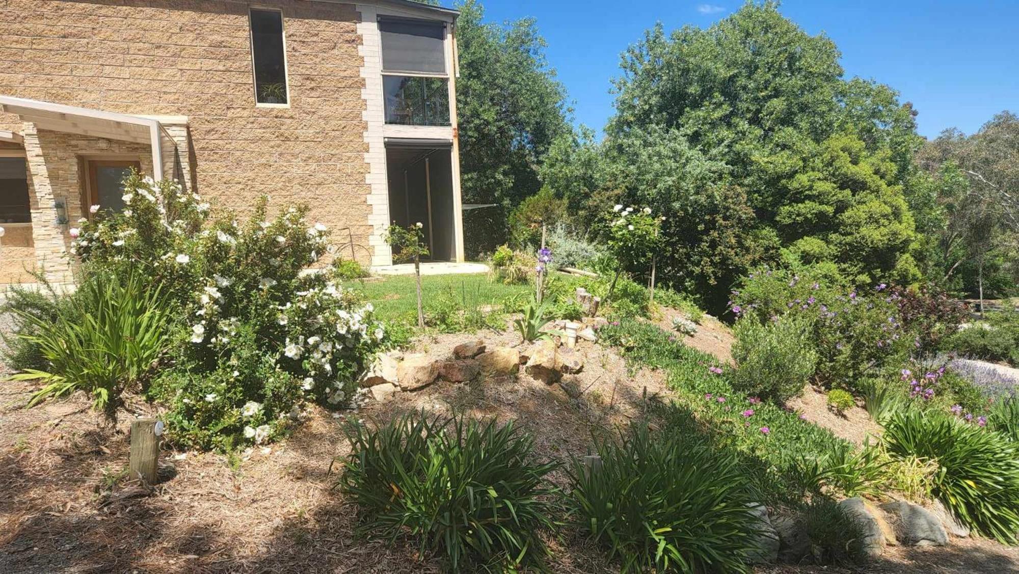 Riesling Trail & Clare Valley Cottages Værelse billede